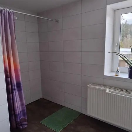 Waldblick Mit Balkon شقة زبنيتس